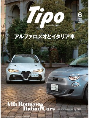 cover image of Tipo: 384号